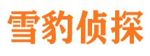 海伦市场调查